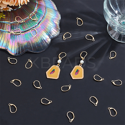 80Pcs 304 Stainless Steel Leverback Earring Findings STAS-BBC0004-10G-1