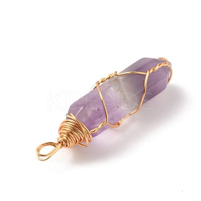 Natural Amethyst Double Terminated Pointed Pendants G-TAC0010-04G-02-1