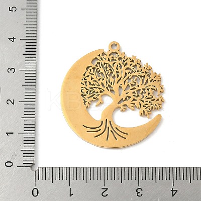 304 Stainless Steel Pendants STAS-V016-10G-1