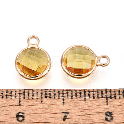 Golden Tone Brass Glass Charms X-GLAA-ZX008-24F-G-1
