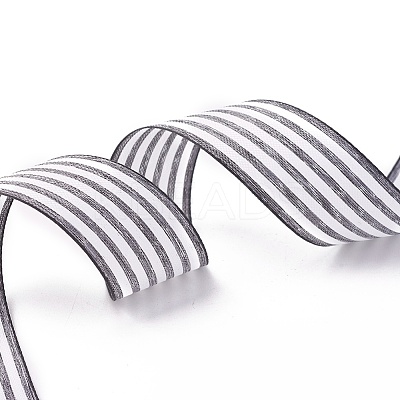 Polyester Ribbon SRIB-L049-9mm-C002-1