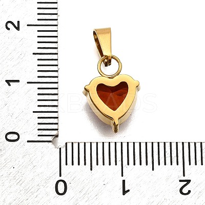 304 Stainless Steel Micro Pave Cubic Zirconia Pendants STAS-B086-13G-01-1