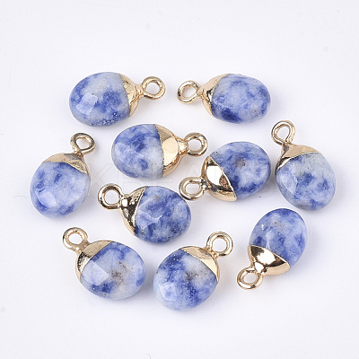 Electroplate Natural Blue Spot Jasper Charms G-S344-09I-1
