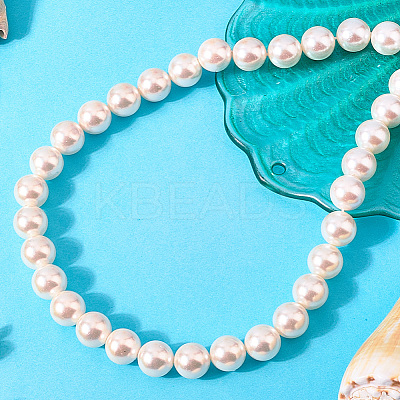 1 Strand AB Color Plated Shell Pearl Round Beads Strands BSHE-LT0001-01-1