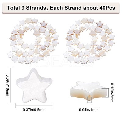 3 Strands Natural Freshwater Shell Beads Strands SHEL-CN0001-02-1