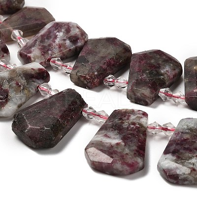Natural Plum Blossom Tourmaline Beads Strands G-H078-A01-01-1