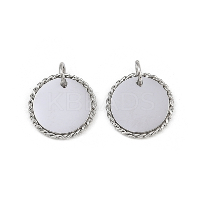 304 Stainless Steel Pendants STAS-L022-183P-03-1