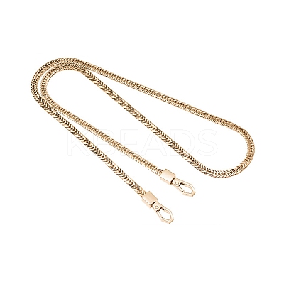 Metal Handbag Snake Chain Straps PW-WGE1AA0-01-1