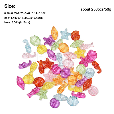 250Pcs 50G Transparent Acrylic Beads TACR-FP0001-04-1