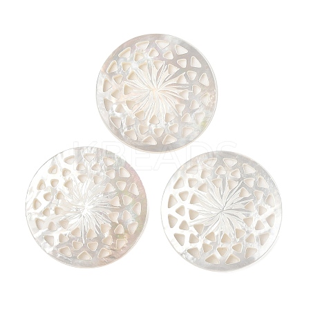 Natural White Shell Hollow Cabochons SSHEL-I026-19-1