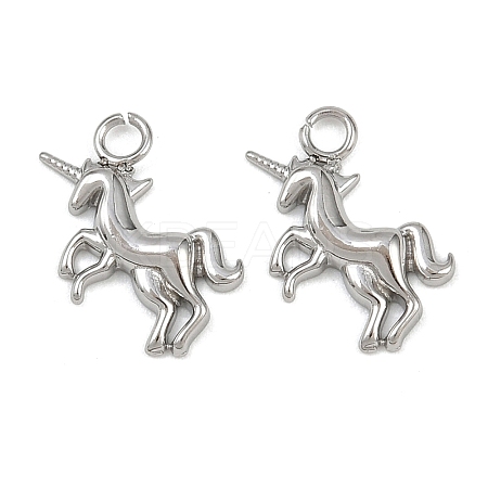 304 Stainless Steel Charms STAS-H242-01P-07-1