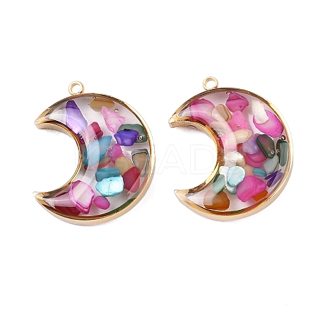 304 Stainless Steel Pendants STAS-C146-03G-02-1