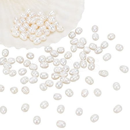 2 Strands Natural Cultured Freshwater Pearl Beads Strands PEAR-NB0002-55-1