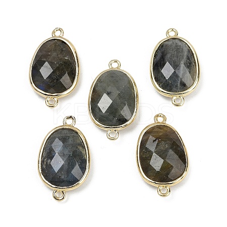 Natural Labradorite Faceted Connector Charms G-K347-11G-06-1