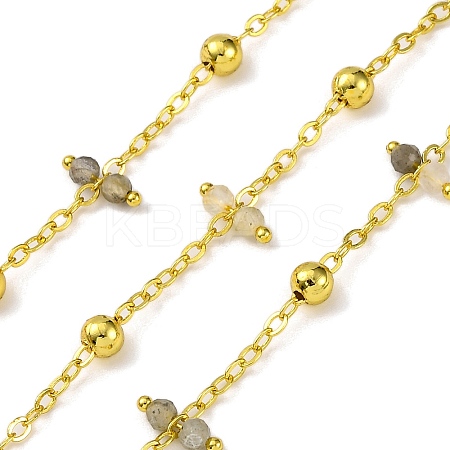 Handmade Faceted Natural Labradorite Beaded Chains CHC-L050-02G-01-1