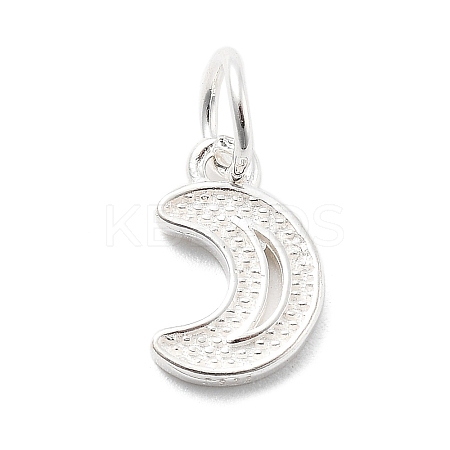 925 Sterling Silver Charms STER-S009-07B-S-1