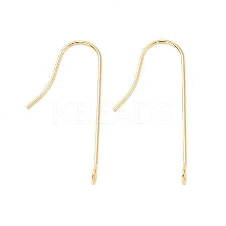 316 Surgical Stainless Steel Earring Hooks X-STAS-E027-01B-G-1