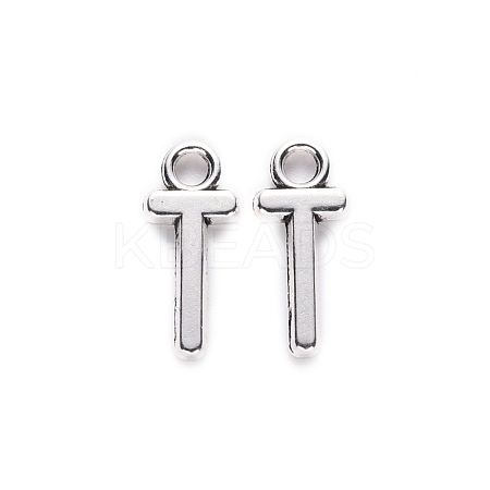 Tibetan Style Alloy Pendants TIBE-S108-108T-AS-RS-1