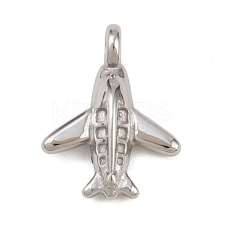 304 Stainless Steel Charms LS-STAS-I360-02P-1