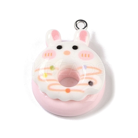 Opaque Resin Imitation Food Pendants RESI-S403-01B-1