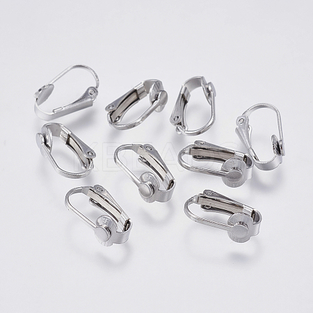 Tarnish Resistant 304 Stainless Steel Clip-on Earring Findings LS-STAS-I097-025P-1