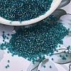 MIYUKI Delica Beads X-SEED-J020-DB1764-1