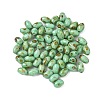 60Pcs 10G Baking Paint Picasso Glass Seed Beads LS-GLAA-V001-06A-1