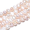 Natural Cultured Freshwater Pearl Beads Strands X-PEAR-N014-04D-01-3
