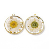 Transparent Clear Epoxy Resin Pendants RESI-L036-12G-08-1