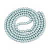 Baking Paint Glass Pearl Beads Strands LS-DGLA-ZX001-05B-14-2