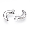 304 Stainless Steel Charms STAS-N109-138P-2