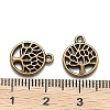 Tibetan Style Alloy Pendants LS-TIBEP-T009-25AB-NR-3