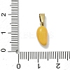304 Stainless Steel Enamel Fruit Vegetable Charms STAS-F336-02H-G-3