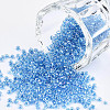 8/0 Glass Seed Beads X1-SEED-A016-3mm-211-1