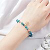 Natural Apatite Beads Strands G-OC0002-60A-5