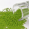 11/0 Grade A Baking Paint Glass Seed Beads X-SEED-N001-A-1025-1