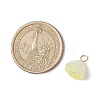 Acrylic Lotus Pendants PALLOY-JF02712-01-2