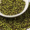 8/0 Opaque Colours Seep Glass Seed Beads SEED-F003-04B-04-1