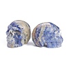 Natural Sodalite Display Decorations DJEW-J004-02C-2