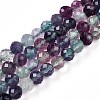Natural Rainbow Fluorite Beads Strands G-T140-22A-1