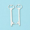 Tibetan Style Zinc Alloy Key Big Pendants LS-EA11911Y-1