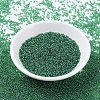MIYUKI Round Rocailles Beads SEED-G007-RR0173-2