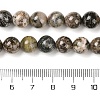 Natural Rhodonite Beads Strands G-P524-A01-03-5