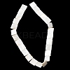 Natural Freshwater Shell Beads Strands SHEL-A006-10A-2