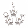 Brass Micro Pave Cubic Zirconia Charms ZIRC-F111-09-08-2