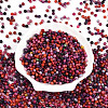 Picasso Glass Seed Beads SEED-N007-20B-2