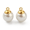 304 Stainless Steel Charms STAS-Z009-02C-G-1