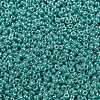 MIYUKI Round Rocailles Beads X-SEED-G009-RR0435-3