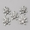 Tibetan Style Alloy Pendants FIND-WH0152-263-1