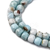 Natural Larimar Beads Strands G-F803-C01-03-4